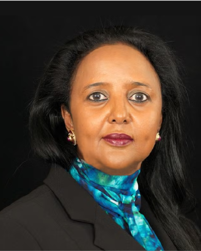 Amb. Amina Mohamed