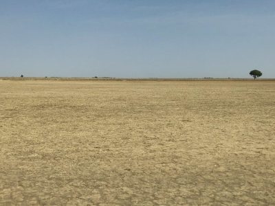 5-Acre Agricultural Land in Kiambu