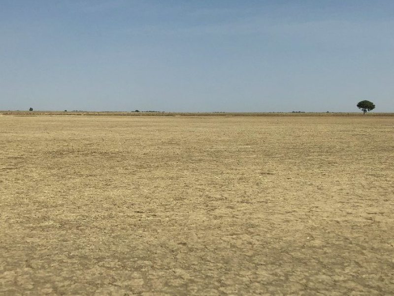 5-Acre Agricultural Land in Kiambu