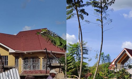Space & Style Roofing Solutions