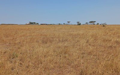 1/8TH ACRE PLOTS FOR SALE IN MALILI, KONZA