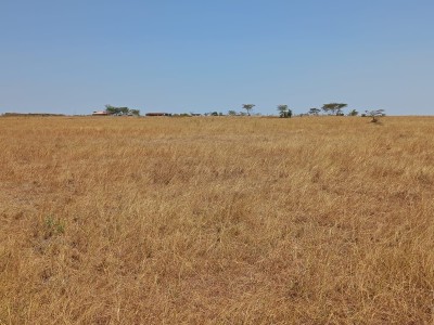 1/8TH ACRE PLOTS FOR SALE IN MALILI, KONZA