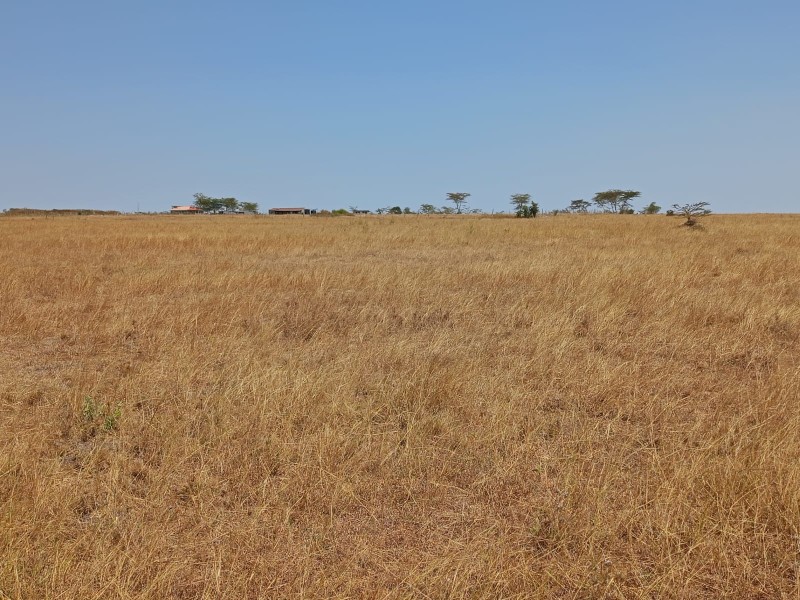 1/8TH ACRE PLOTS FOR SALE IN MALILI, KONZA