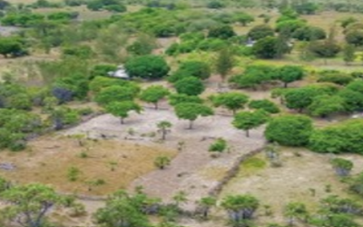 1/8TH ACRE PLOTS FOR SALE IN MOKOWE, LAMU COUNTY