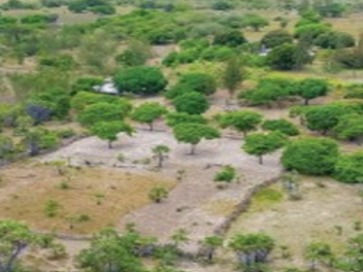 1/8TH ACRE PLOTS FOR SALE IN MOKOWE, LAMU COUNTY