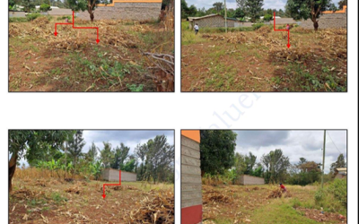 AGRICULTURAL PROPERTY - RRU/169