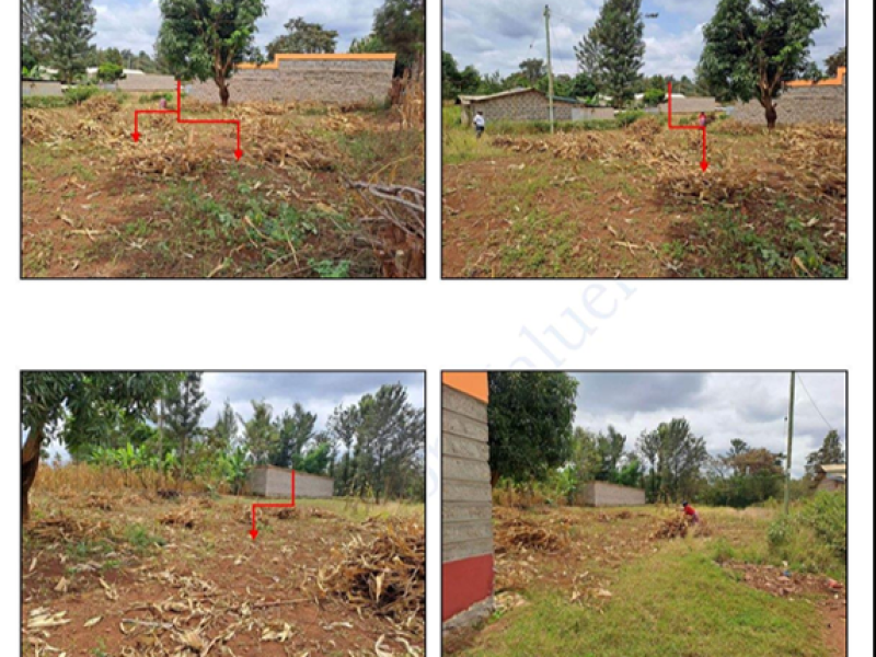 AGRICULTURAL PROPERTY - RRU/169