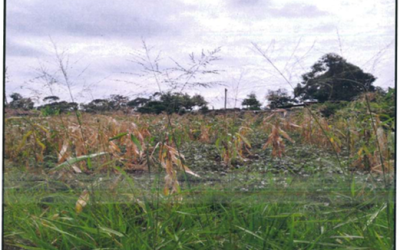 AGRICULTURAL PROPERTY - RRU/170