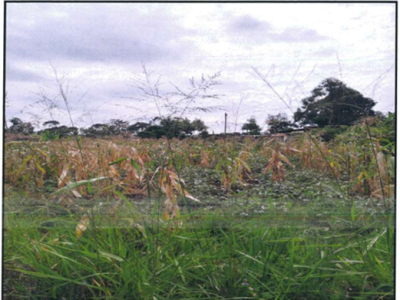 AGRICULTURAL PROPERTY - RRU/170