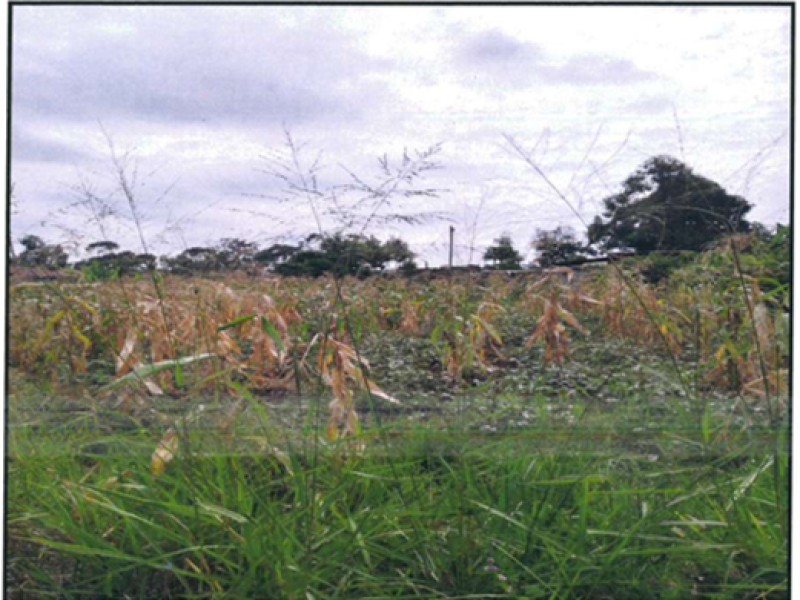 AGRICULTURAL PROPERTY - RRU/170