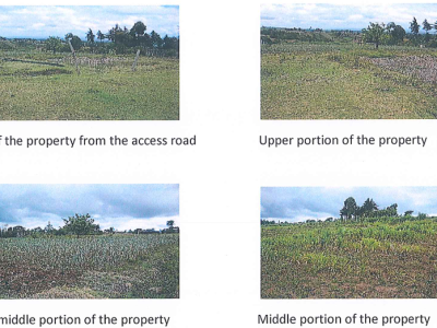 AGRICULTURAL PROPERTY - RRU/171