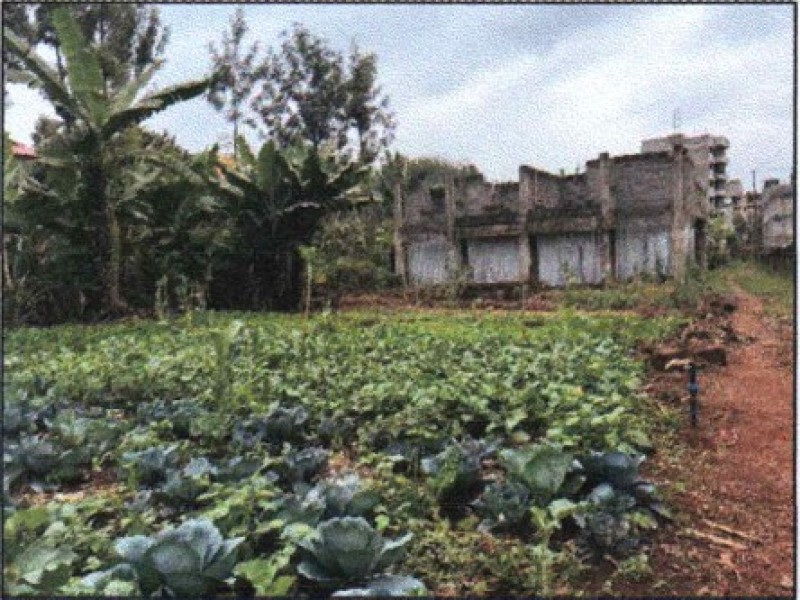 PRIME VACANT PLOTS-RRU/20